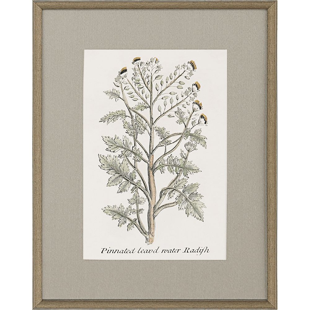 Botanical Plants S/4 - Paragon Wall Decor