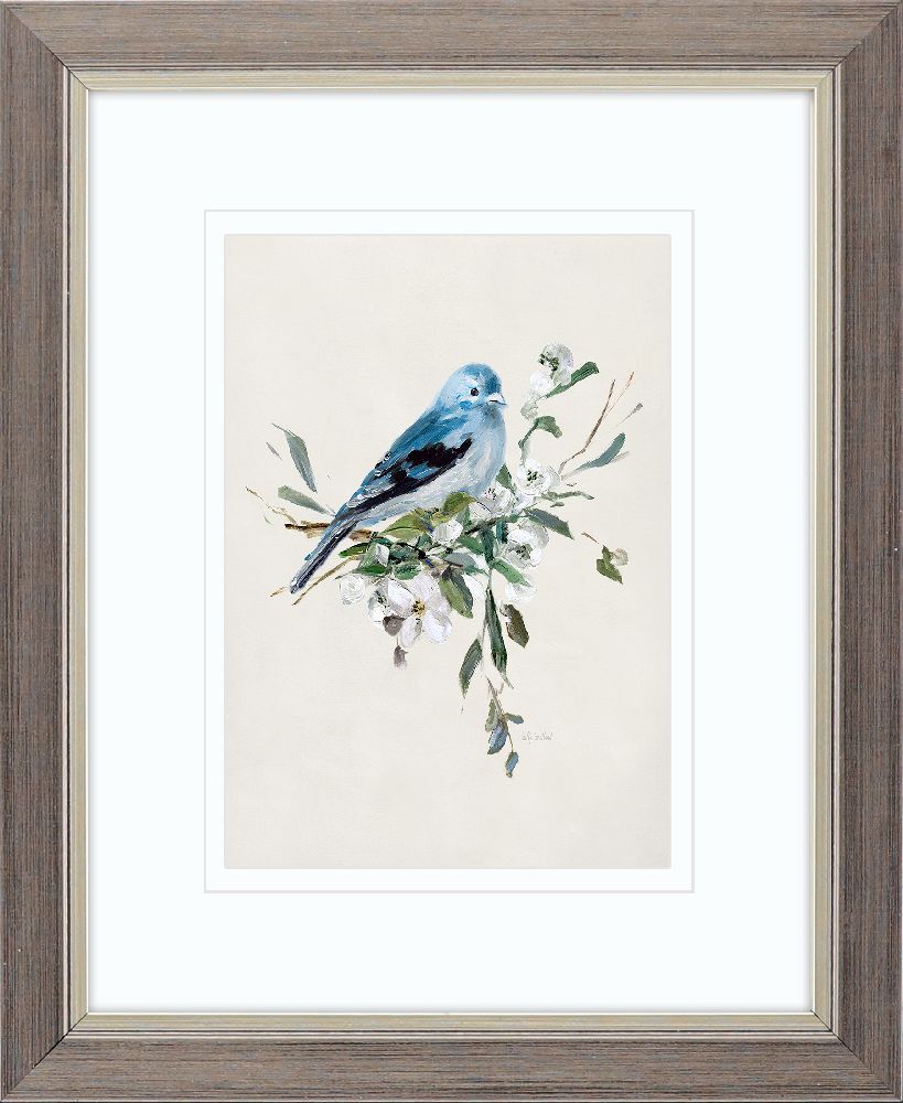 Bluebird Happy S/2 - Paragon Wall Decor